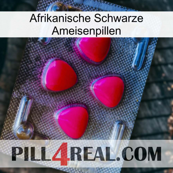 African Black Ant Pills 13.jpg